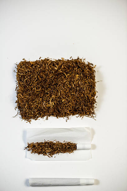 como fazer um charuto - tobacco cigarette tobacco product rolling imagens e fotografias de stock