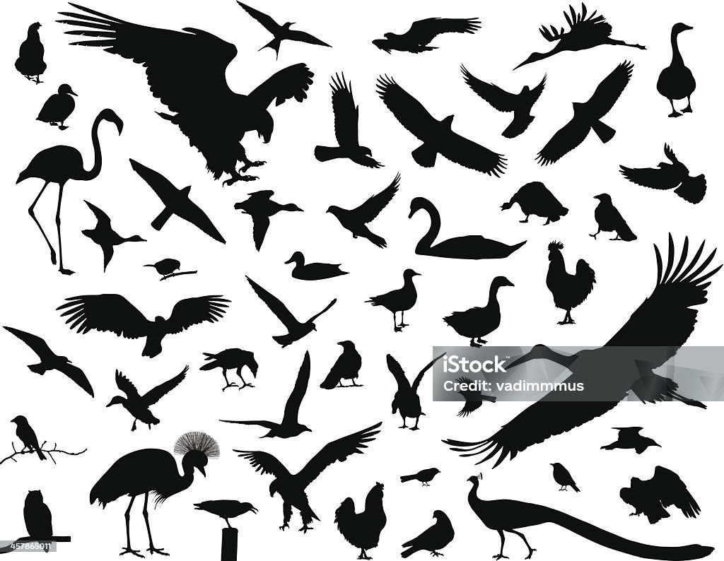 Birds set Birds vector silhouettes set. EPS 10 In Silhouette stock vector