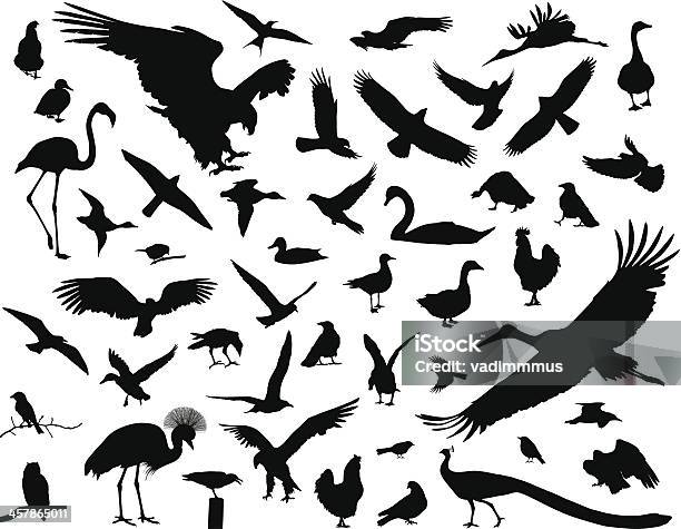 Birds Set Stock Illustration - Download Image Now - In Silhouette, Bird, Animal