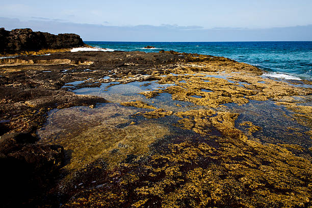 istock rock  coastline and summer in lanzarote spain 457871577