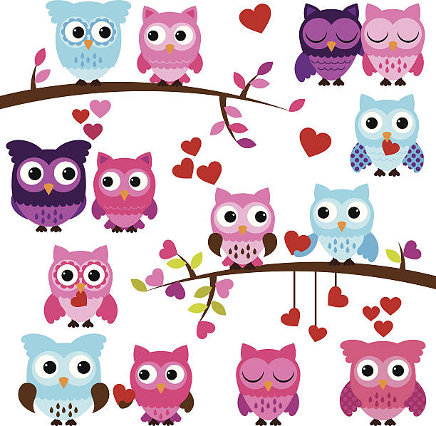 Vector Collection Of Valentines Day Or Love Themed Owls Stock Illustration  - Download Image Now - iStock