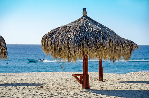 istock Public Beach San Jose del Cabo 457883807