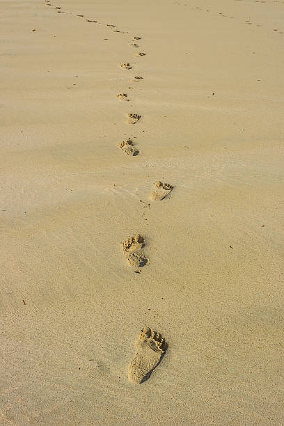 footprints na praia - footprint sand beach steps imagens e fotografias de stock