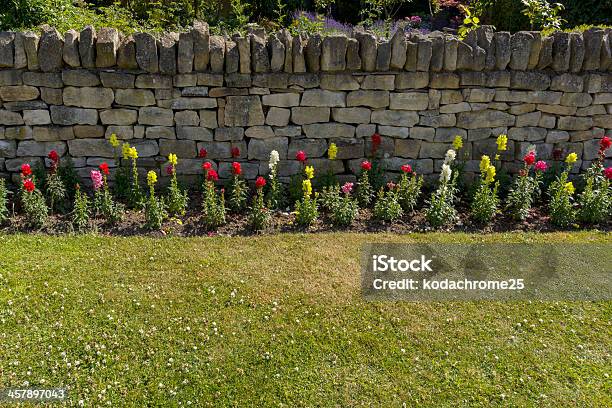 Photo libre de droit de Jardin banque d'images et plus d'images libres de droit de Angleterre - Angleterre, Banlieue pavillonnaire, Bleu