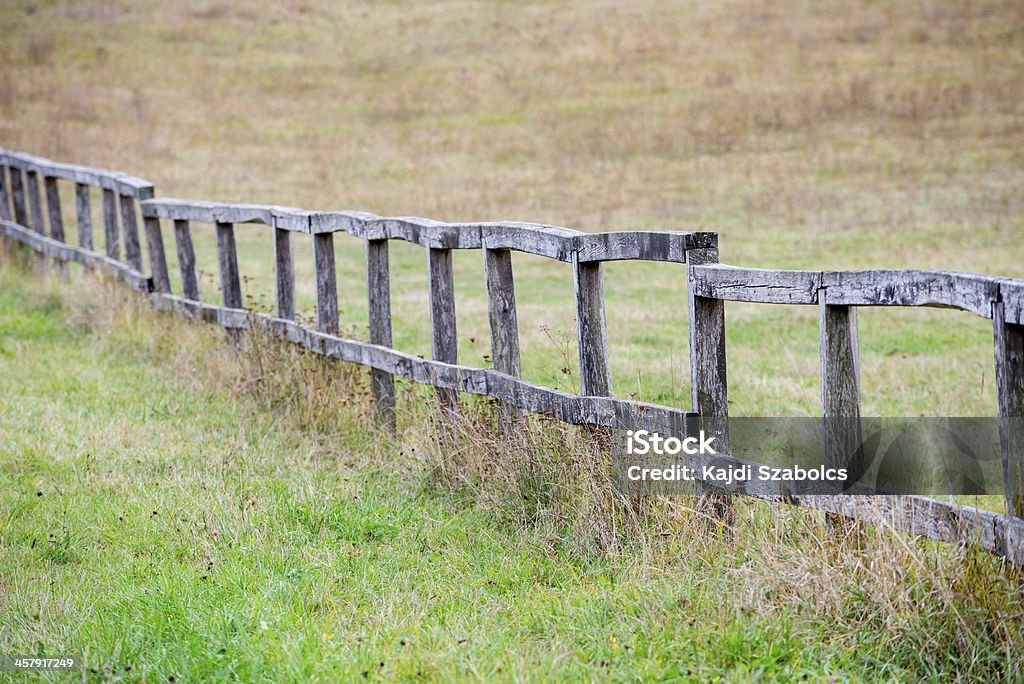 Recinzione in legno - Foto stock royalty-free di Agricoltura