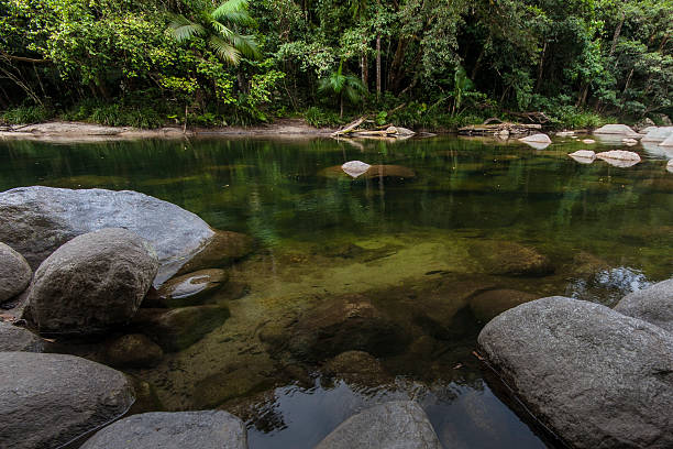 Rainforest Pool Deep pool in rainforest gorge mossman gorge stock pictures, royalty-free photos & images