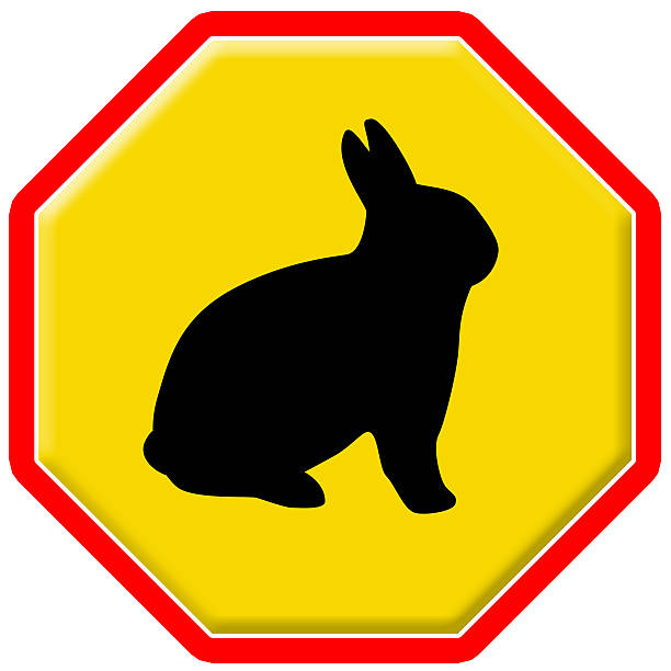 istock Traffic Signs various road sign 457923161