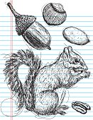 Squirrel eating nuts on notebook paper. The nuts are an acorn(top left), chestnut(top middle), and pecans(top right and bottom right). The artwork and paper are on separate labeled layers.