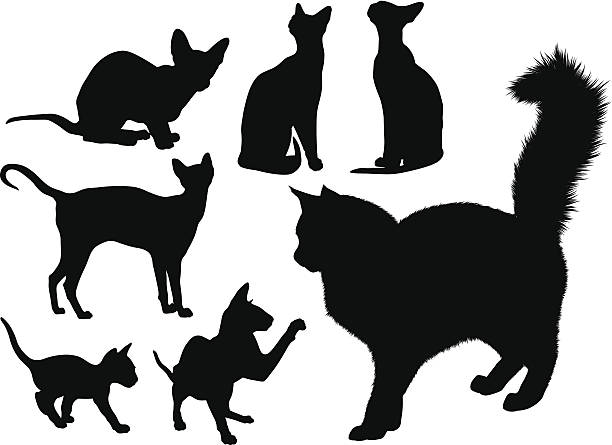 De gatos silouettes - ilustración de arte vectorial