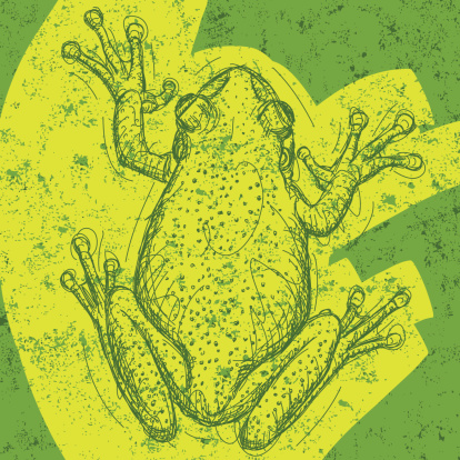 Frog drawing over an abstract background. The artwork and background are on separate labeled layers.