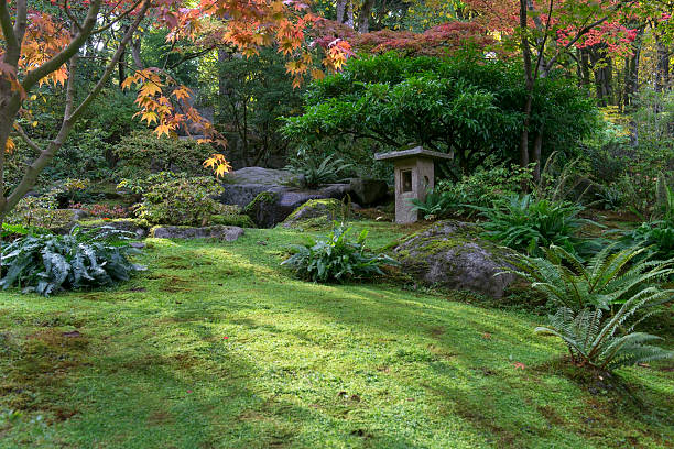 Garden at autumn with Japanese style.