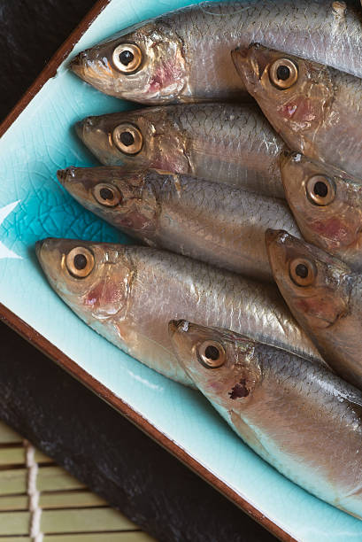 istock Fresh tasty raw sprats on serving dish 457937553