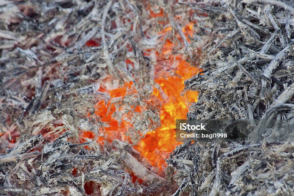 Burning fire flame - Foto de stock de Aire libre libre de derechos