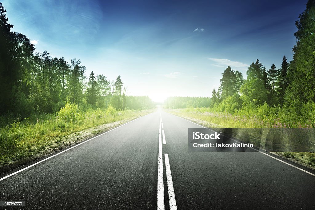 road in deep forest Asphalt Stock Photo