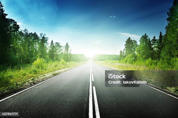 Road In Deep Forest Stock Photo - Download Image Now - Asphalt, Blue, Cloud - Sky