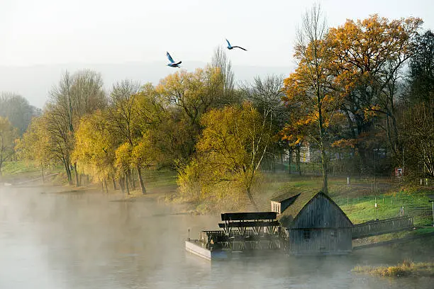 Weser river with historical watermill in morning fog.