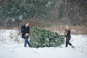 Couple carrying christmas tree