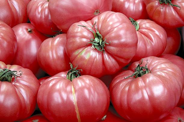 tasty pink tomatoes stock photo