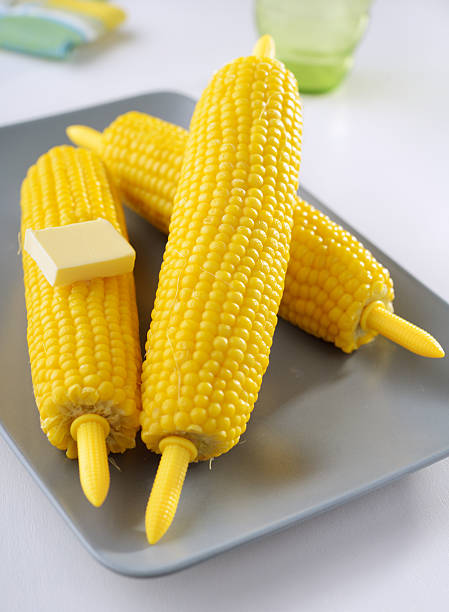 찐 옥수수 cobs queensland - corn on the cob corn cooked boiled 뉴스 사진 이미지