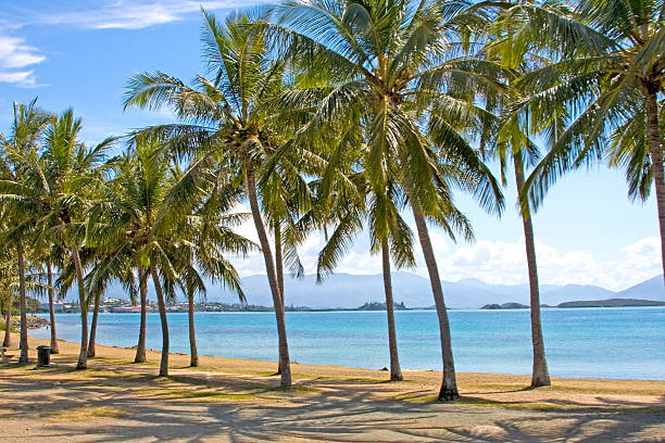istock Palm tree lined beach front of Noumea, New Caledonia. 457968915
