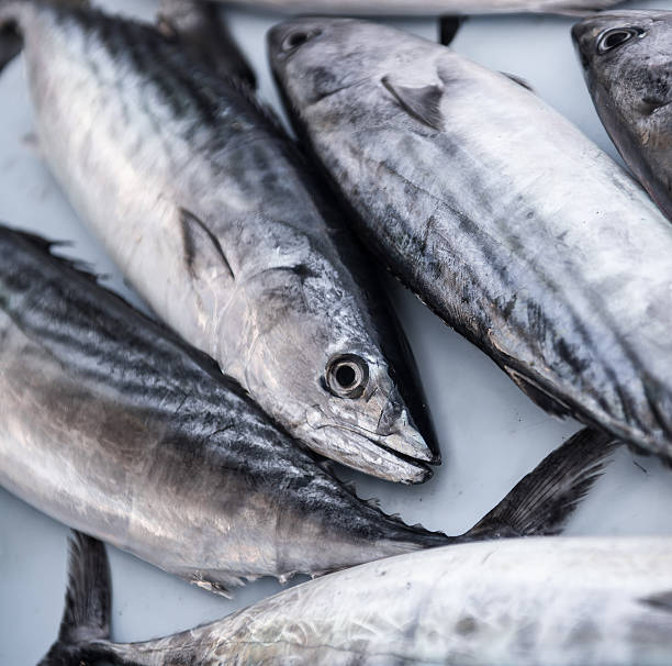 istock Close-up of raw mackerel 457971457
