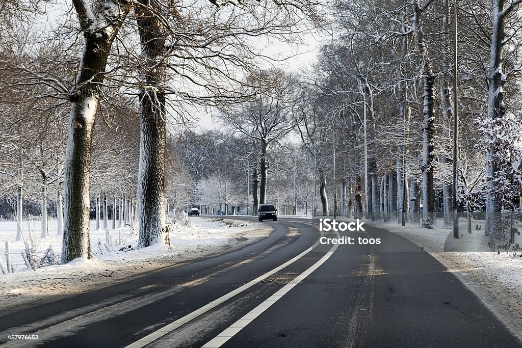 アイス road を雪で覆われた冬の庭園 - コンパクトカーのロイヤリティフリーストックフォト