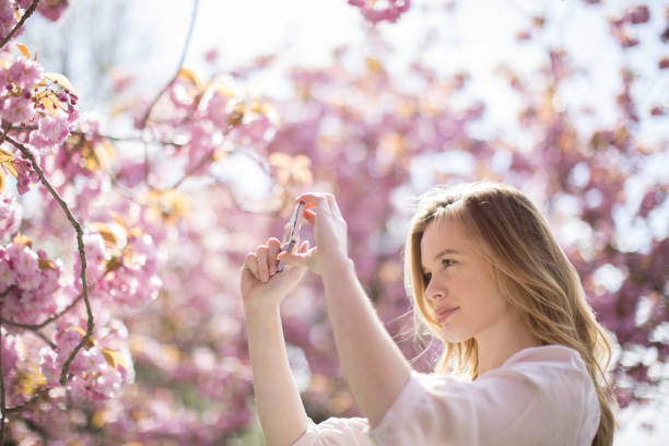 istock Woman photographing pink blossoms on tree 457979793