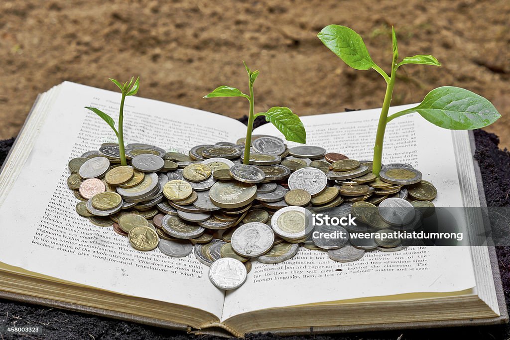 Trees growing on coins over the book Trees growing on coins over the book / A big open book with coins and tree. "Reading makes you richer" concept. Advice Stock Photo