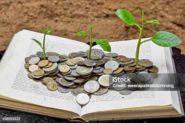 Trees Growing On Coins Over The Book Stock Photo - Download Image Now - Advice, Sustainable Resources, Backgrounds