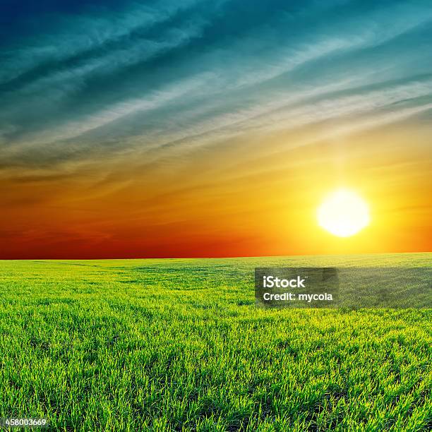 オレンジの夕日をグリーンフィールド - Horizonのストックフォトや画像を多数ご用意 - Horizon, まぶしい, オレンジ色