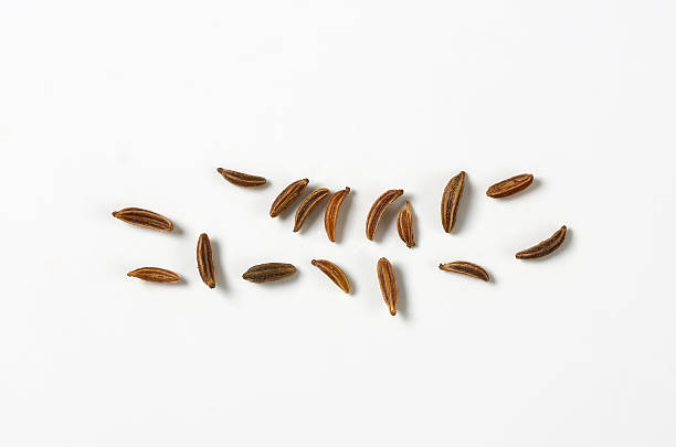 caraway seeds stock photo