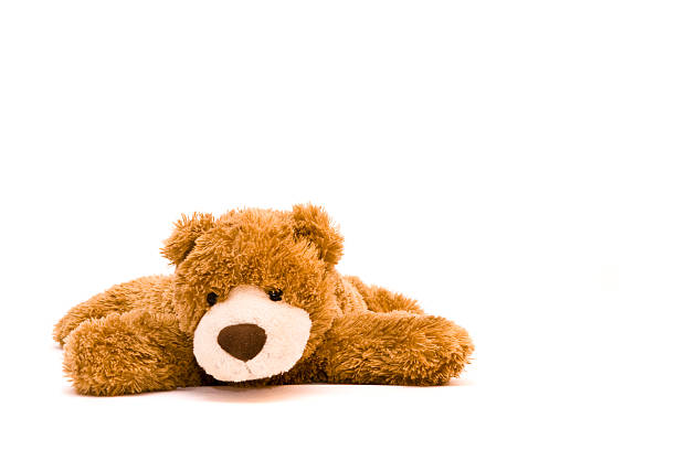 A brown teddy bear is pictured against a white background  stock photo