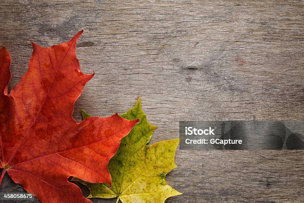 Maple Outono Folhas Na Superfície De Madeira - Fotografias de stock e mais imagens de Amarelo - Amarelo, Antigo, Castanho