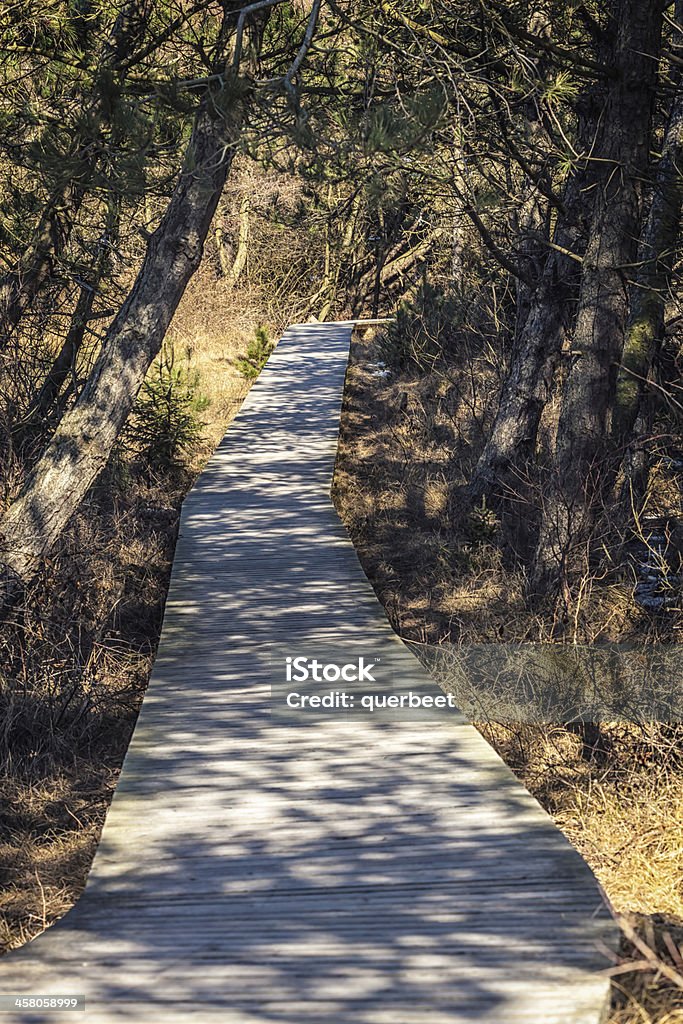 Weg durch den Wald - Lizenzfrei Abwesenheit Stock-Foto