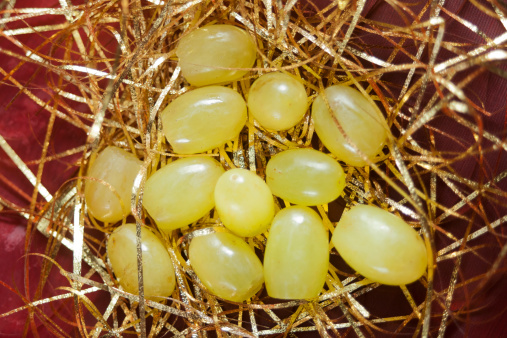 Twelve grapes traditionally eaten on New Year's Eve dinner in Spain and latin american countries along with the twelve bell strokes. Golden shavings, Christmas decoration resembling a bird´s nest