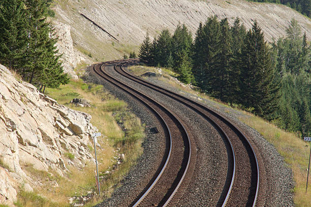 Corrida de trem de casal Vista para baixo - foto de acervo