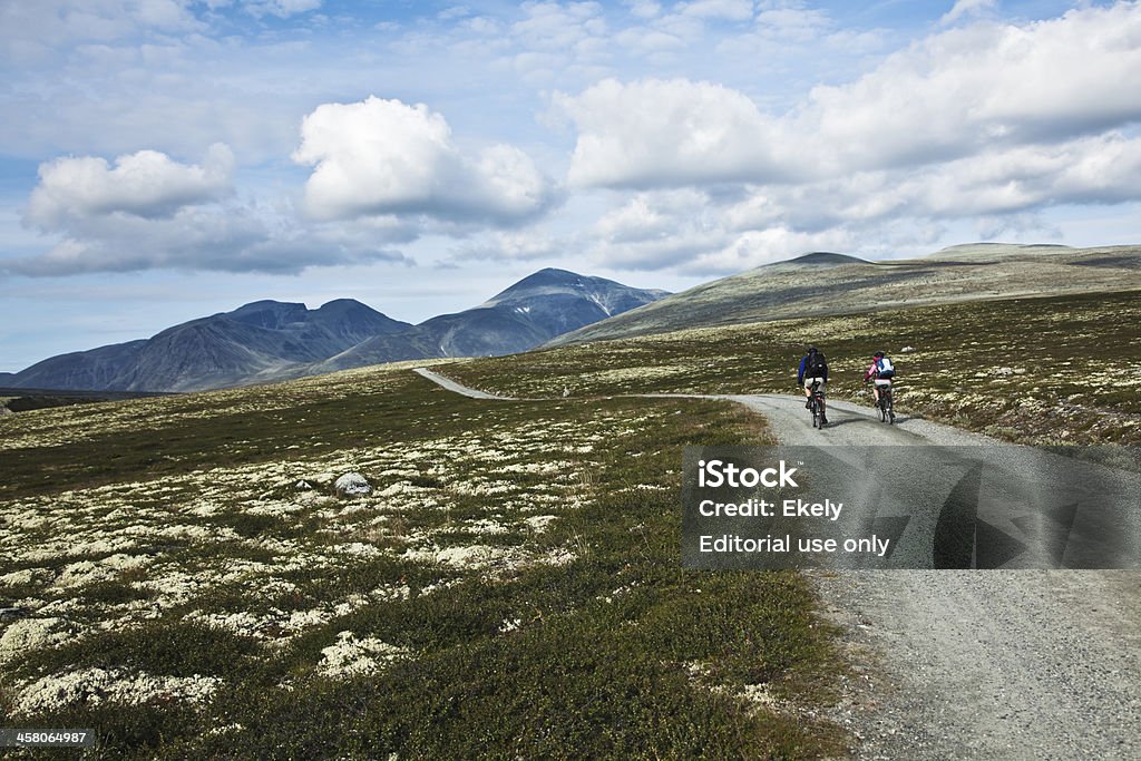 Os ciclistas em norueguês montanhas. - Foto de stock de Adulto royalty-free