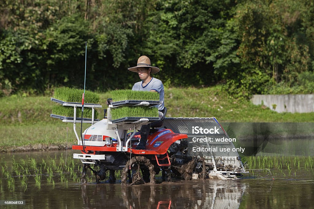 분재 farmer on 트랙터 쏘는 심기 rice - 로열티 프리 Satoyama - Scenery 스톡 사진