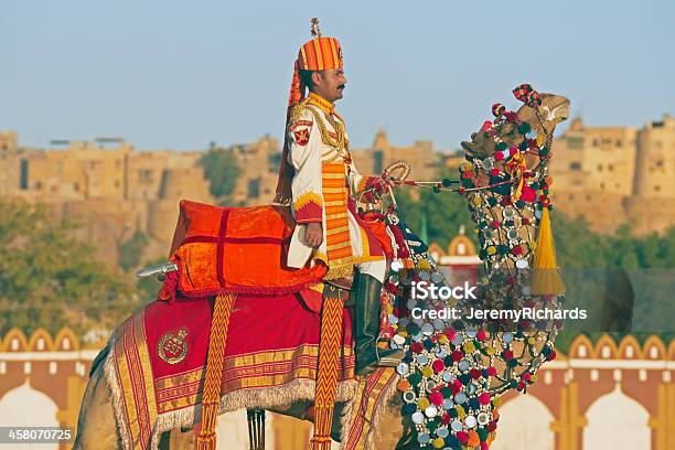 Camel Salute Stock Photo - Download Image Now - Animal, Army, Asia