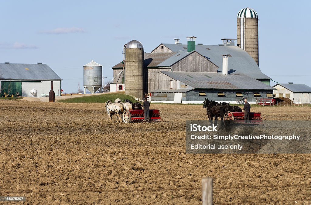 Mennonite agriculteurs printemps Plantation - Photo de Amish libre de droits