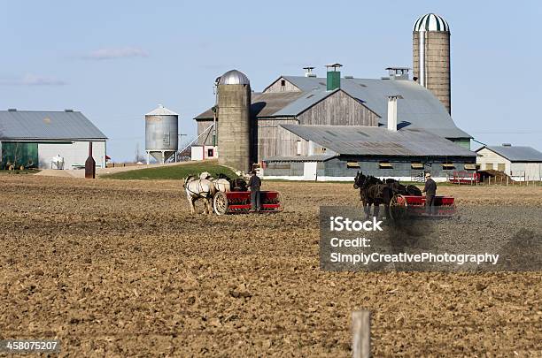 Foto de Mennonite Agricultores Primavera De Plantio e mais fotos de stock de Amish - Amish, Agricultor, Animal de Fazenda