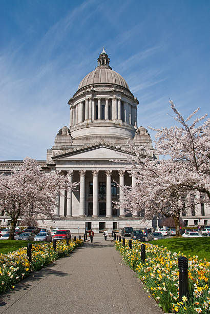 540+ Contea Di Thurston Stato Di Washington Foto stock, immagini e