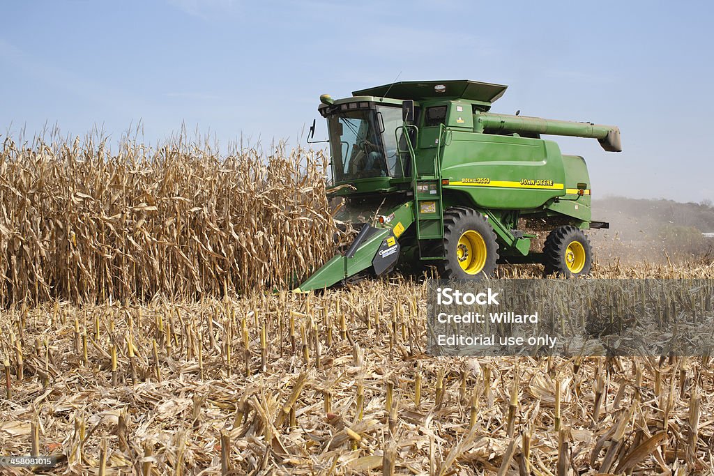 Farmer in a John Deere combine harvesting corn "West Albany, Minnesota, USA - October 12, 2010: A farmer harvests corn in a John Deere combine. John Deere is a major manufacturer of agricultural machinery." Corn - Crop Stock Photo