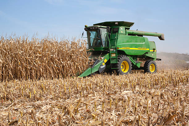 Farmer in a John Deere combine harvesting corn stock photo