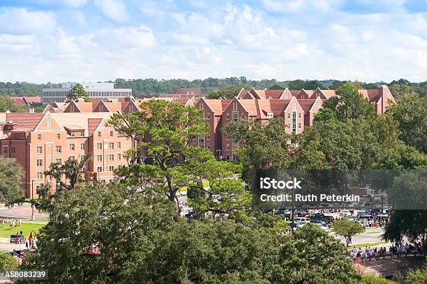 Menschenmassen Am Campus Der Florida State University Von Tallahassee Florida Stockfoto und mehr Bilder von Parkplatz-Picknick