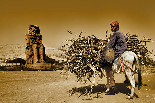 Jodhpur, India - March 14, 2014: Woman and child with a donkey carrying concrete construction rubble through the narrow lanes of Jodhpur's Blue City