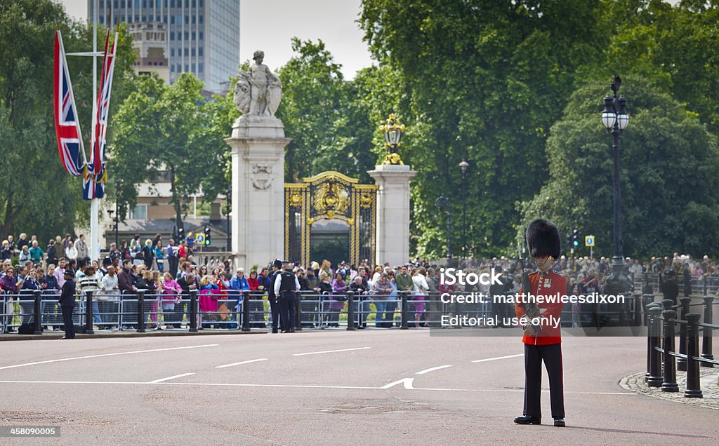 Trooping the 보랏빛의 의식, 런던, 런던. - Foto de stock de Adereço de Cabeça royalty-free