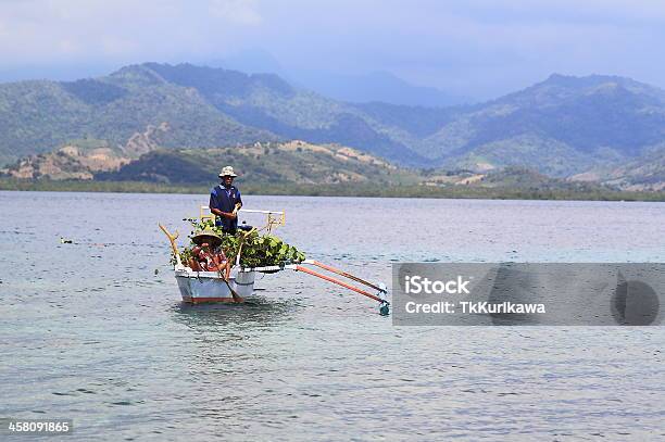 Indonesio Pareja De Ancianos Foto de stock y más banco de imágenes de Sumbawa - Sumbawa, Personas, Adulto