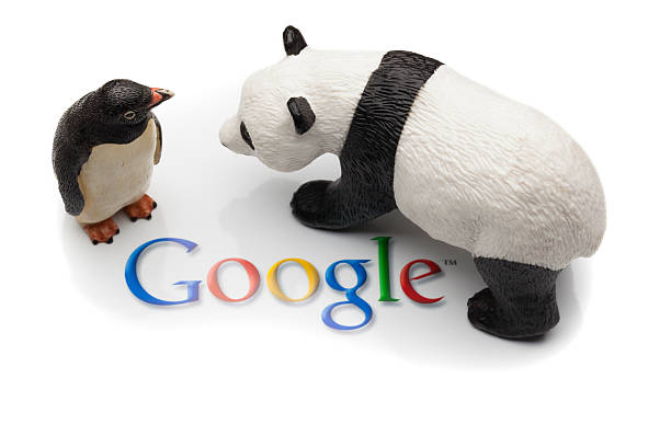 google panda e pinguino - google penguin foto e immagini stock