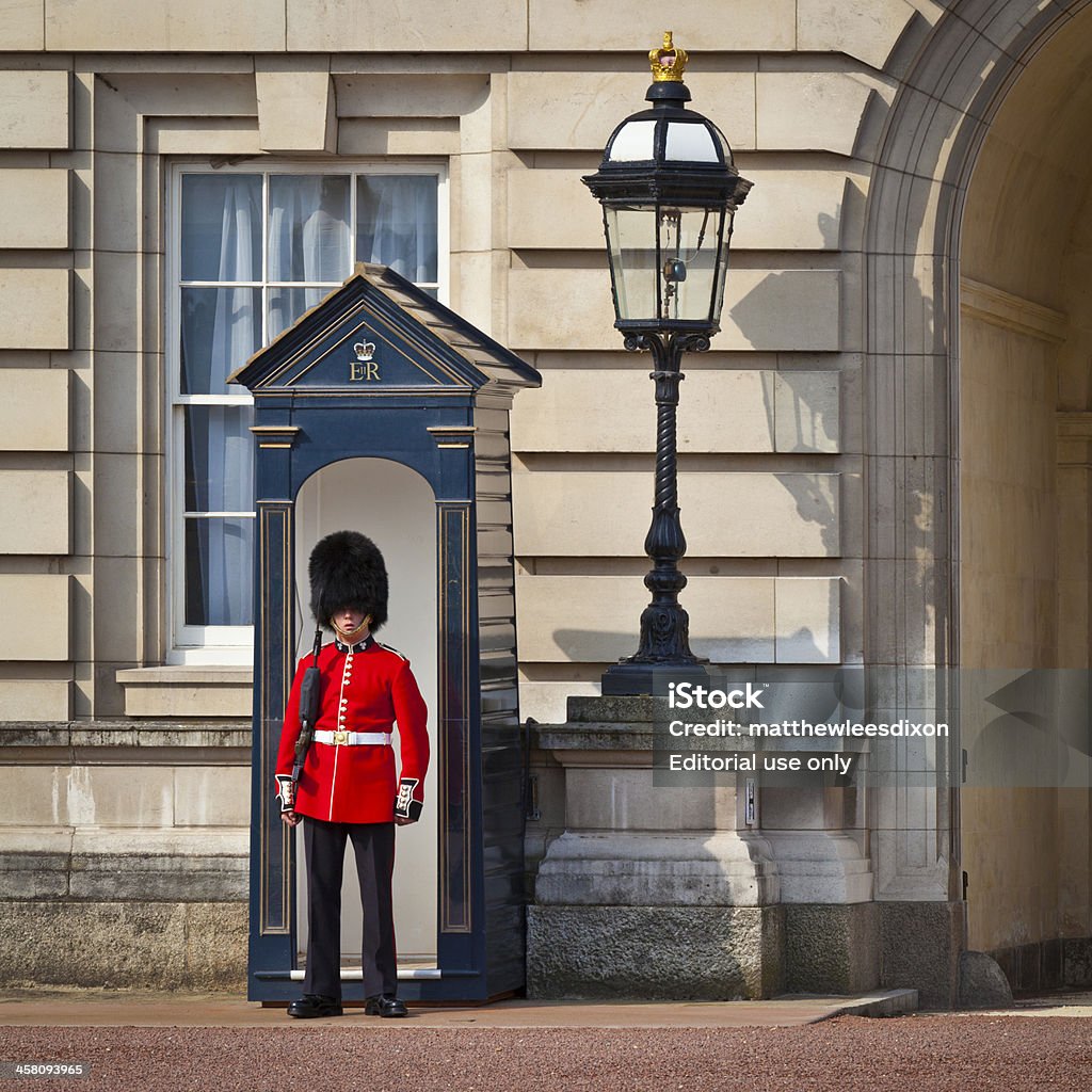 Queen's strażnika, Pałac Buckingham, London. - Zbiór zdjęć royalty-free (Anglia)